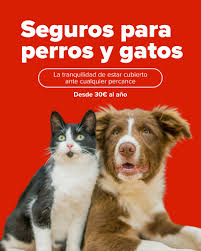 images-23